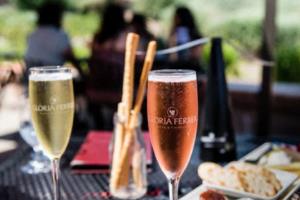 巴西甲级联赛，激情与竞争的完美结合巴西甲级联赛球队