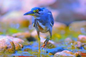 法国足球俱乐部首次登上西甲舞台，历史与展望法国登陆西甲联赛