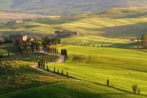 2020-2024赛季西甲篮球联赛简介及表格分析西甲男篮联赛简介表格